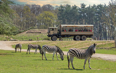 transfer service to thoiry zoo